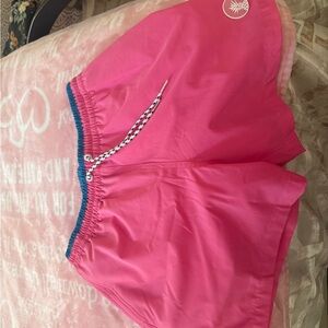 Chubbies Teal and pink Swim Shorts